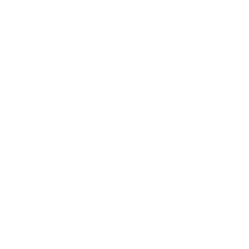 Planet icon