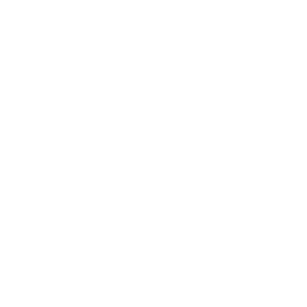 Rocket icon