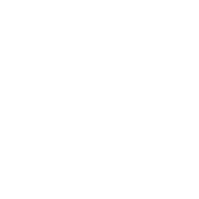 UFO icon
